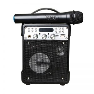 Loa kéo Bluetooth Vaensong K1H kèm micro và điều khiển