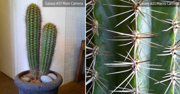 chụp ảnh macro thumb vdd