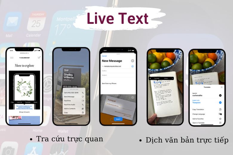 Live Text là một tính năng mới trên iOS 15