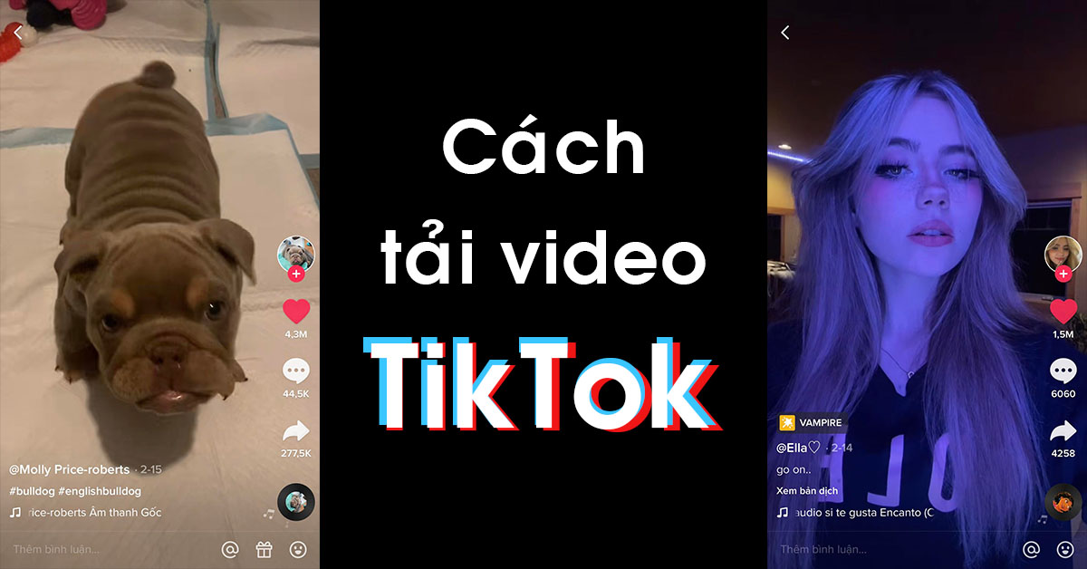 6 bước để biết cách tải video TikTok yêu thích nhất trên điện thoại