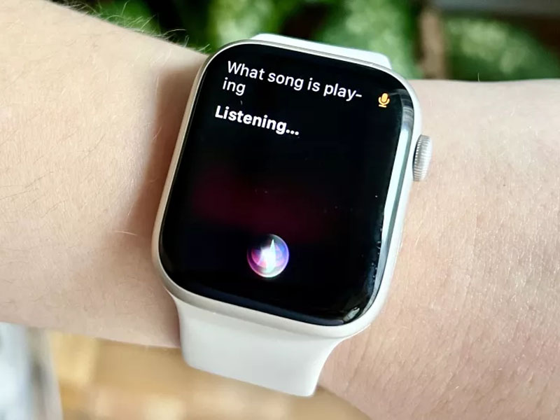 tính năng ẩn Apple Watch siri