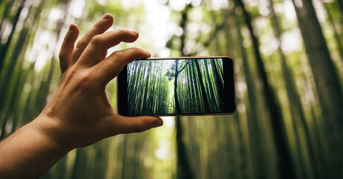 8 mẹo chụp ảnh thiên nhiên chất lượng trên điện thoại của bạn (Phần 2)