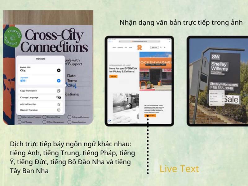 iPadOS 15 live text