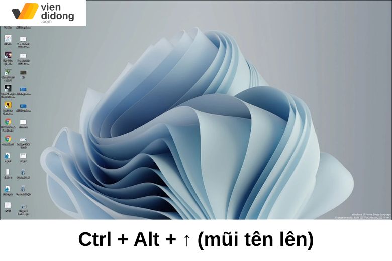 Hướng dẫn cách xoay màn hình Windows 11 cực kỳ đơn giản 8 Đưa màn hình hiển thị Windows 11 về hướng chuẩn