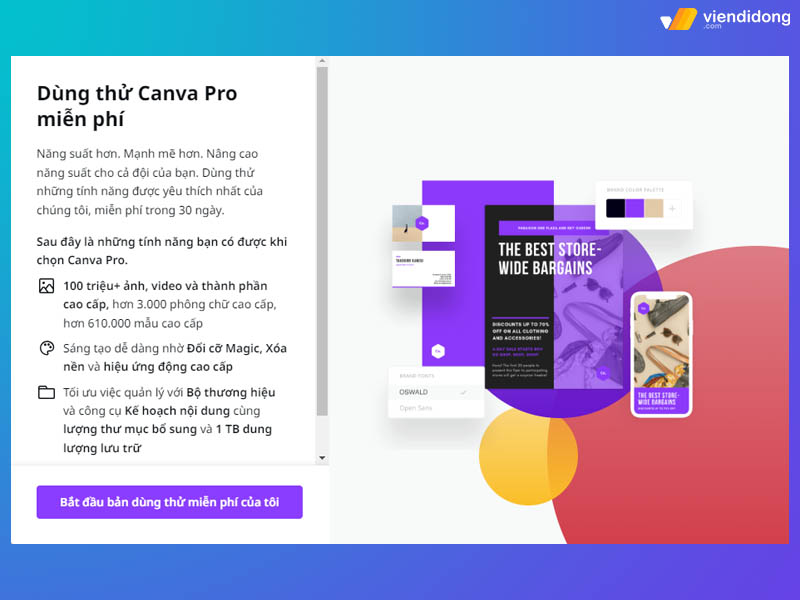 cách sử dụng Canva pro