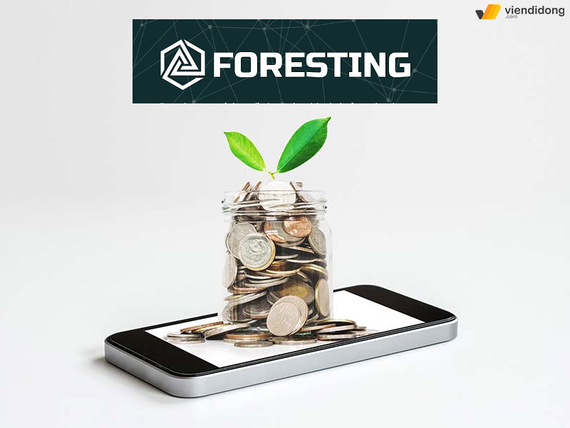 Foresting tín dụng