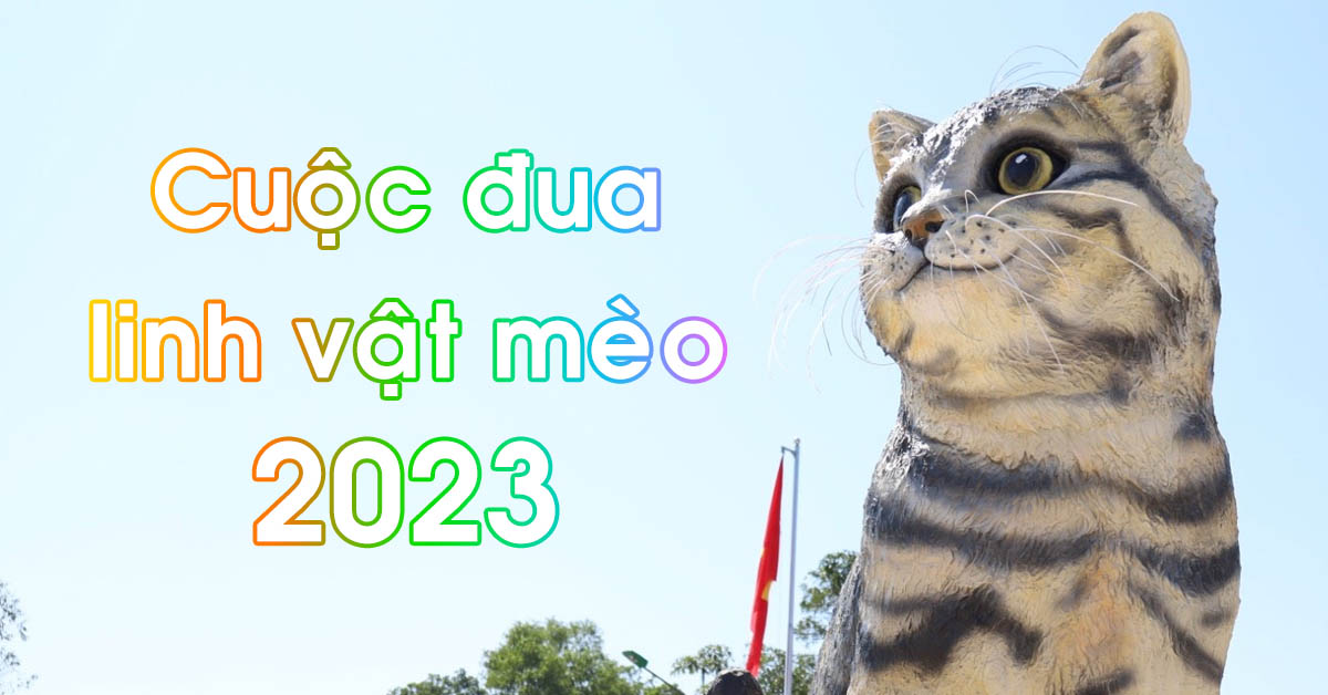 Cuộc đua linh vật mèo Quý Mão 2023 của các tỉnh thành: Đâu là quán quân?