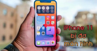 iPhone 11 bị đơ màn hình thumb