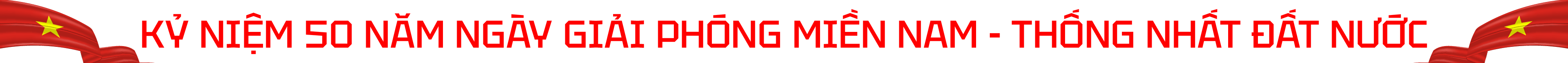 Banner Hệ thống VDD