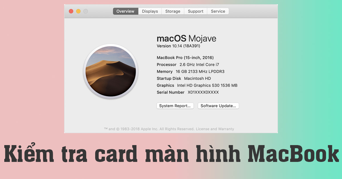 Cách kiểm tra card màn hình MacBook nhanh và chi tiết nhất
