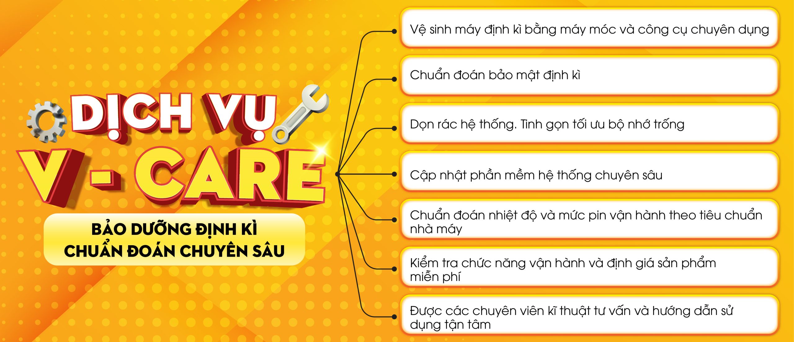 Dịch vụ V-Care: Bảo dưỡng định kì