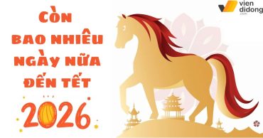 Còn bao nhiêu ngày nữa đến tết 2026