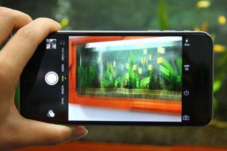 Camera điện thoại chụp rung, nhòe ảnh